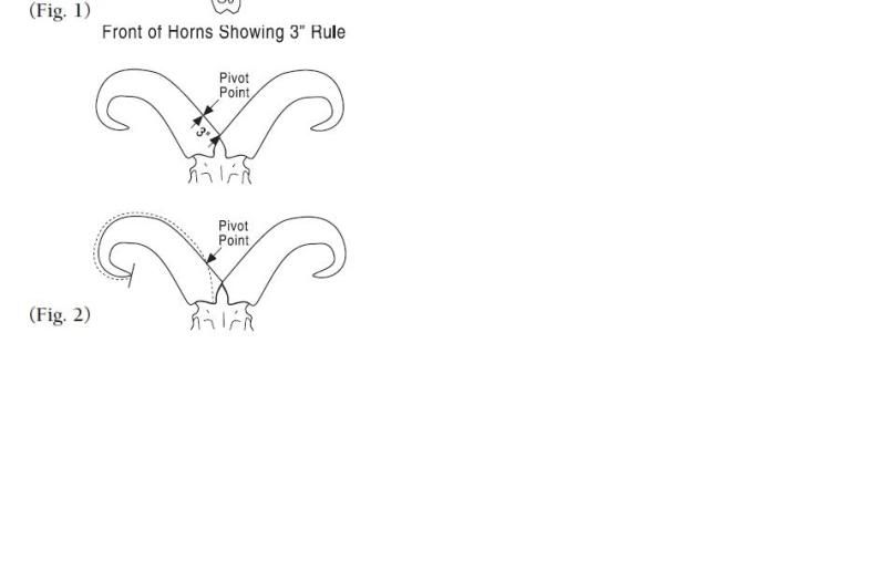 sci-scoring-aoudad-rams-texas-hunting-forum